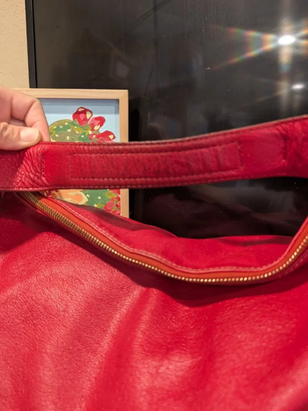 Dooney & Bourke Large Red Leather Hobo Shoulder Bag GUC